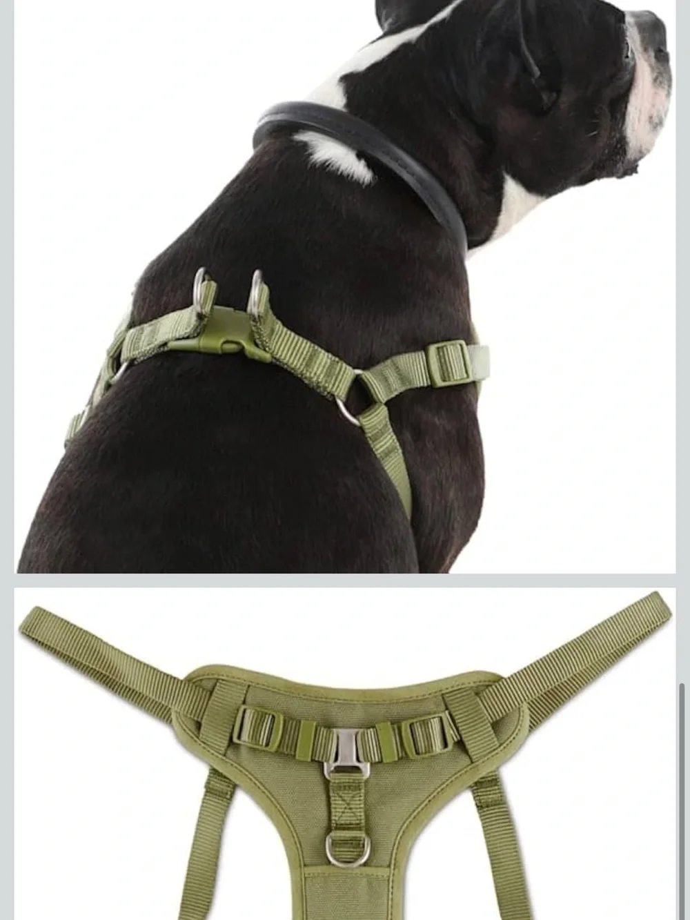 Olive Green Padded Dog Harness with Adjustable Straps